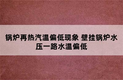 锅炉再热汽温偏低现象 壁挂锅炉水压一路水温偏低